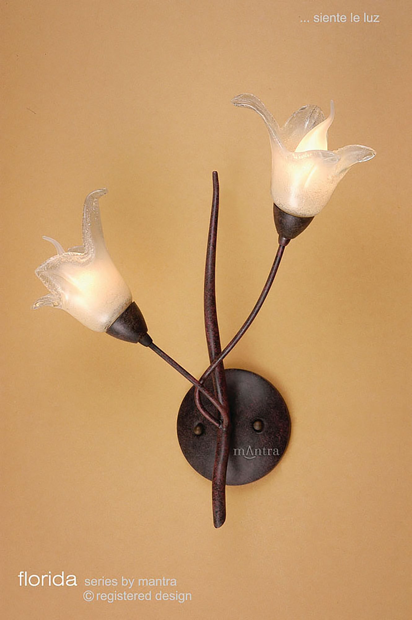 Florida Ceiling Lights Mantra Traditional Ceiling Lights Florida Ceiling Lights Mantra Traditional Ceiling Lights